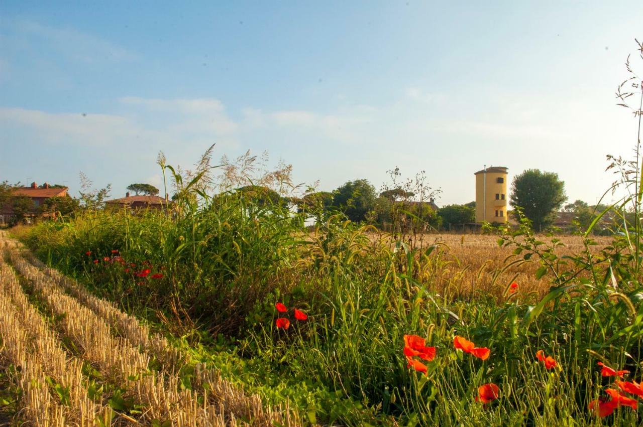 ماكساريسه Il Silos المظهر الخارجي الصورة